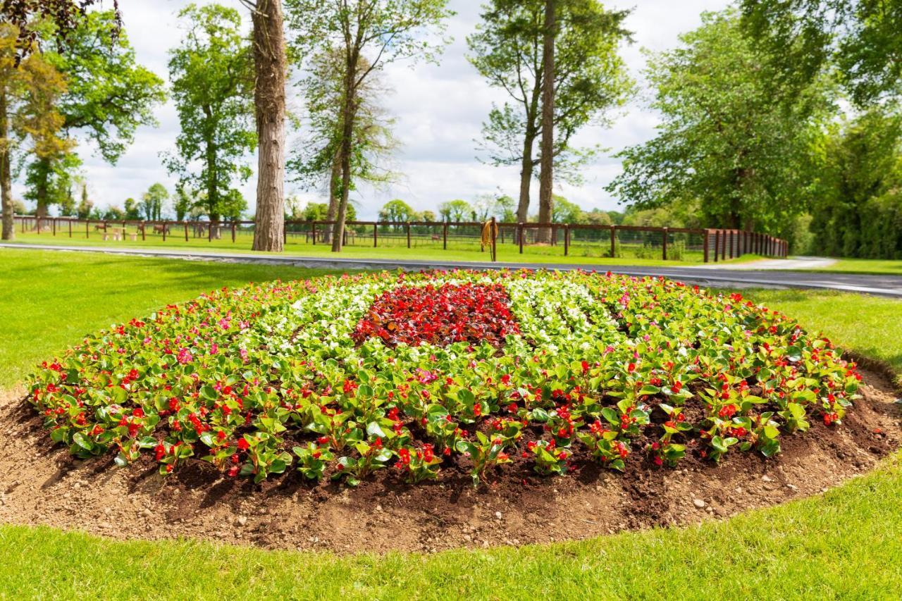 Bective Stud Apartments Navan Kültér fotó
